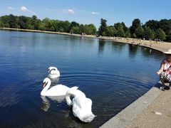 -海德公园