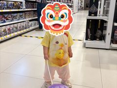 -TOYSRUS玩具反斗城(武汉荟聚中心店)