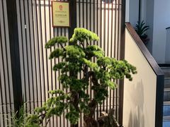 -溪畔•新徽菜(碧湖云溪店)