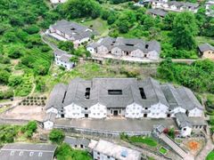 -雁南飞茶田景区