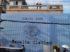 -溪岸路花鸟市场