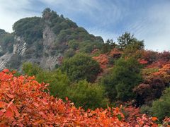 -秦岭终南山世界地质公园翠华山景区