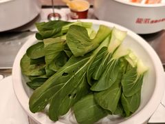 -龍歌自助小火锅(雨花台江南虹悦城店)
