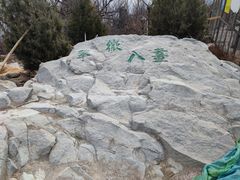 -北京西山国家森林公园