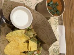 -油梨树 AVOCADO TREE(亮马桥店)