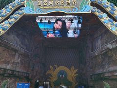 -西双版纳原始森林公园