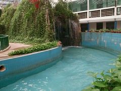 -龙脉温泉室内游泳馆