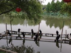 -长兴太湖图影湿地文化园