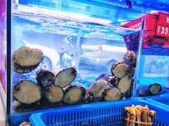 -小龍鳳·港式海鲜打边炉(沙湖路店)