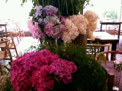 android_upload_pic-春暖花开(西溪店)