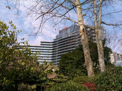 -绿城千岛湖喜来登度假酒店