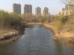 -蒲河岛湿地公园