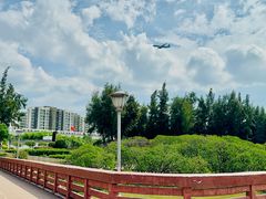 -宝安西湾红树林湿地公园