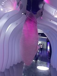 -黛莱皙护肤美妆