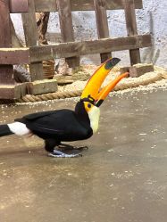 -Zoolung Zoolung动物主题公园(海信广场店)