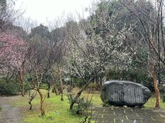 -成都杜甫草堂博物馆