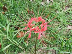 -必胜客(燕郊永旺店PHDI店)