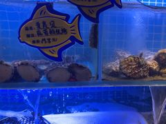 -街角等你.大连海鲜烧烤.经典铁板海鲜串(西安路店)