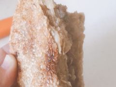 素烧饼-李小老烧饼(常营民族家园店)