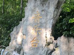 -音乐台