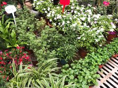 -秦美花卉(天朗·莱茵小城2期店)