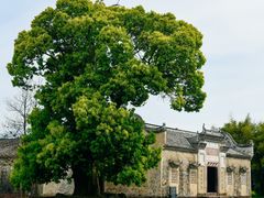-桐江书院
