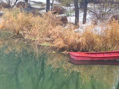 -长春市南湖公园