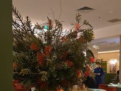 -老吉堂上海本帮菜(望京万象汇店)