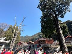 -灵光寺