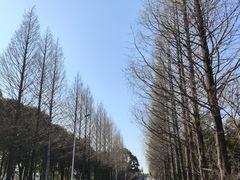 -皇罗禅寺