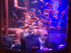 -沈阳海洋探索中心