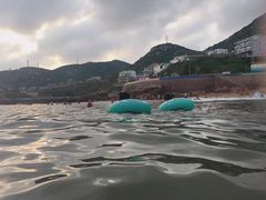 -枸杞岛