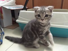 -纳吉亚猫专科动物医院博雅分院