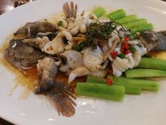 -猪肉婆私房菜(容桂总店)