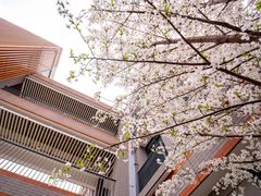 -金陵中学(河西分校)