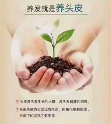 -诗碧曼养发