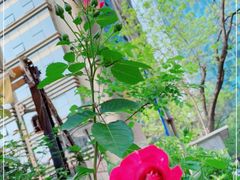 -T-COFFEE(长江花园店)