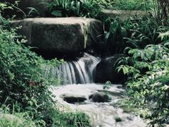 -上海共青森林公园