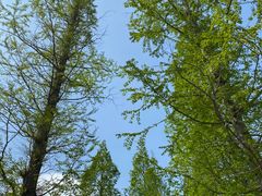 -威海大乳山景区