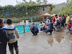 -贵州森林野生动物园