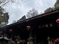 -老杨砂锅鱼庄