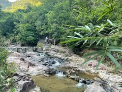 -广州白江湖森林公园