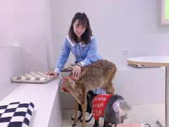 -怪兽屋·羊驼·猫咖·狗咖(俊华广场店)