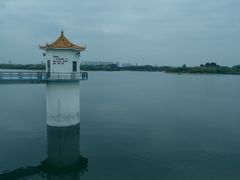 -松山湖梦幻百花洲