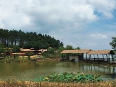 -杏花村文化旅游区