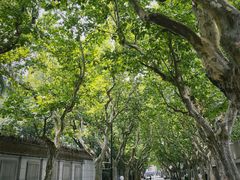 -夏朵花园(复兴西路店)
