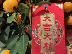 -王府井文华东方酒店-紫膳餐厅