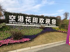 -空港花田景区
