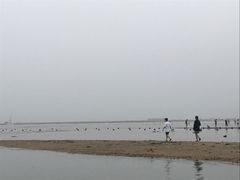 -东戴河风景区-止锚湾