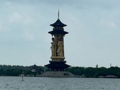 -溱湖国家湿地公园